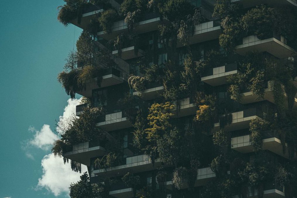 A building designed to blend with its natural surroundings