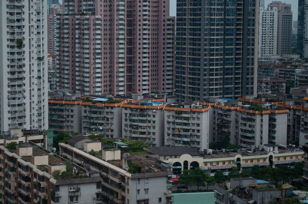 Green roof with vegetation overlooking a city skyline