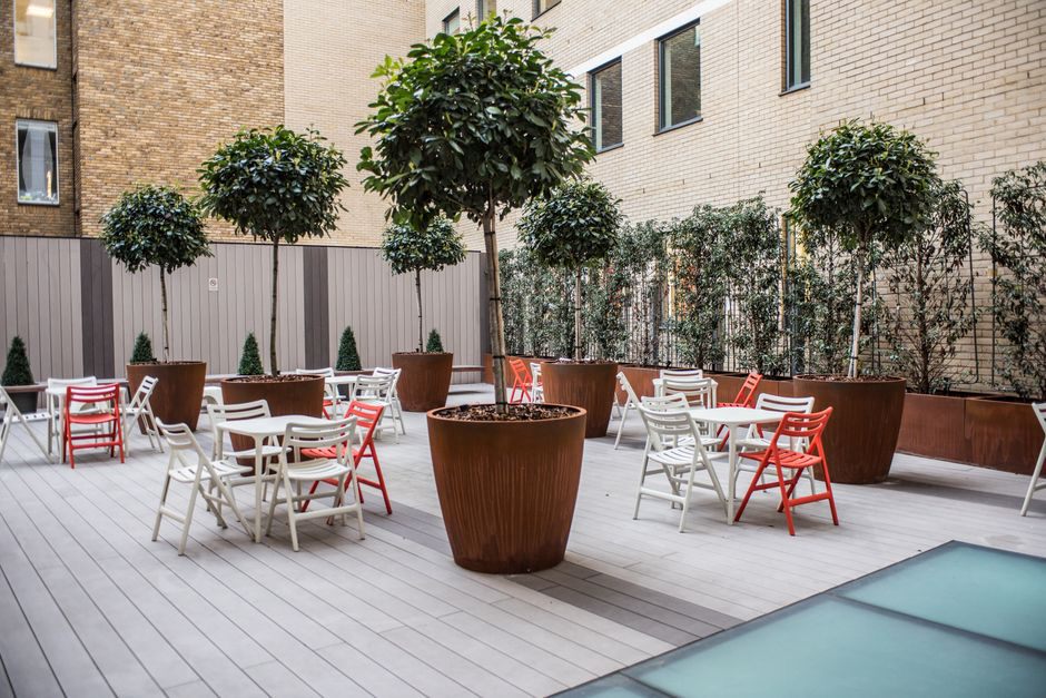 A serene garden space within a hospital complex