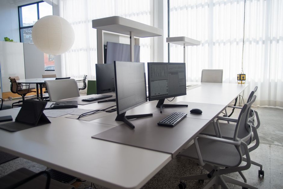 An open-plan office with ample natural light and greenery promotes productivity