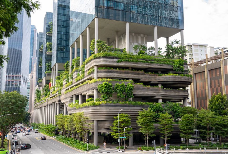 An office with abundant natural light and indoor greenery
