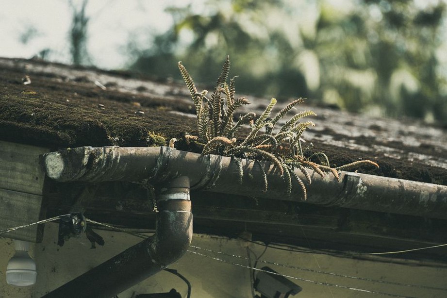 Vegetated roof managing rainfall above urban offices