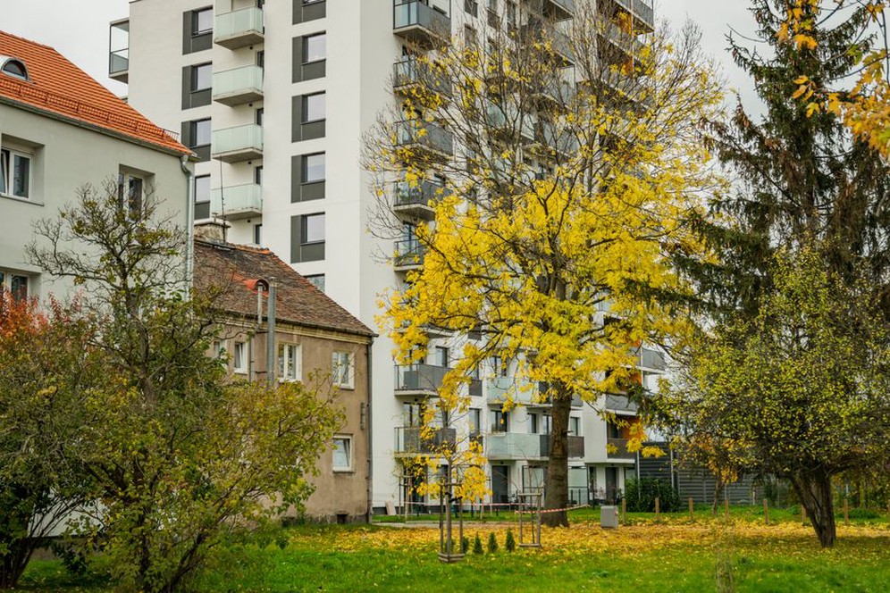 A connected green route beside neighborhood homes