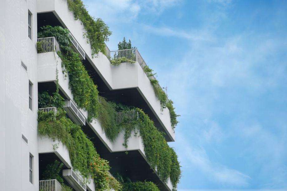 A modern building showcasing sustainable design aspects