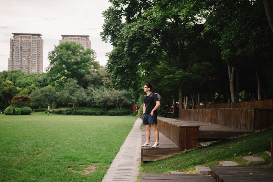 wooden seating platforms integrated with native meadow plantings in a public park