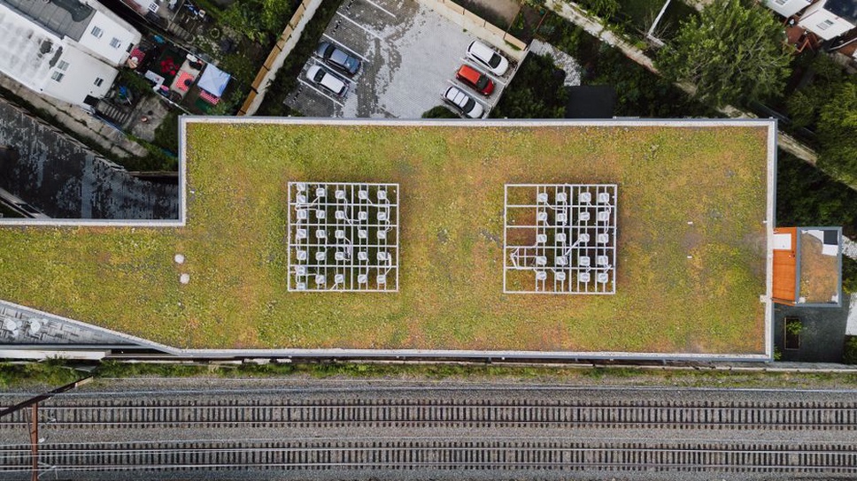 Rain garden managing runoff near apartments