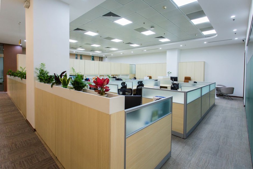 endless cubicle workstations under harsh overhead lighting