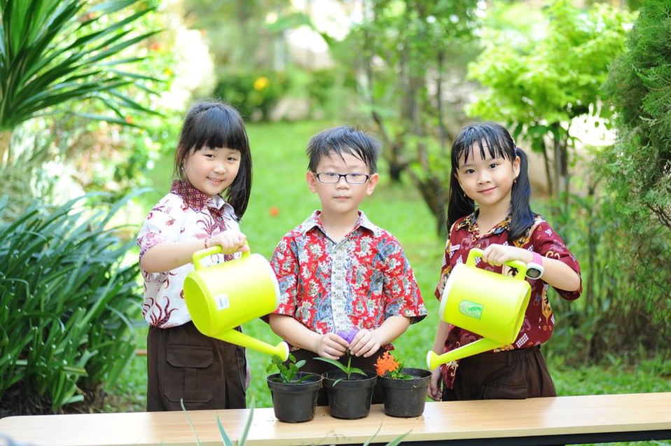 Outdoor learning area with resilient landscape