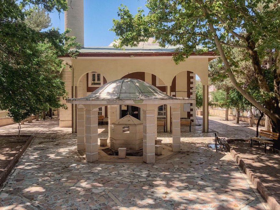 Courtyard providing shade and informal meeting space
