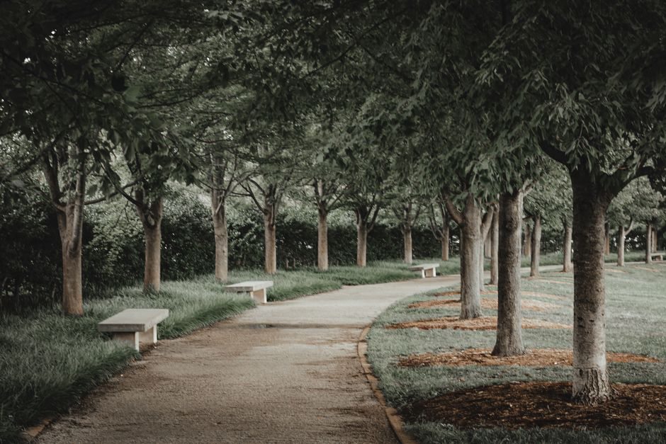 Shaded path with benches and clear access