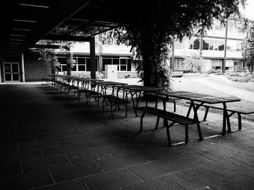 A shaded planted courtyard between urban buildings