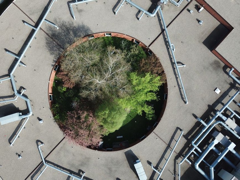 Courtyard planting coordinated above a basement structure