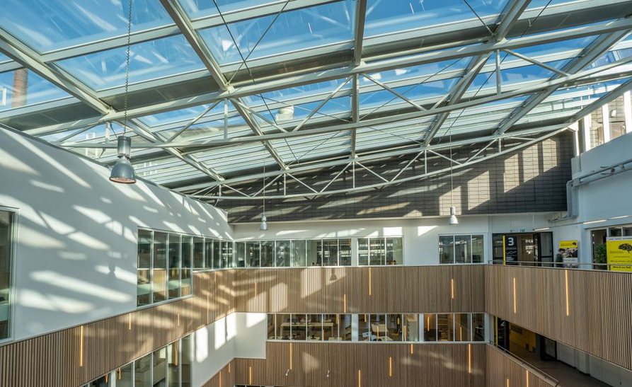 Rooflights brighten the circulation space below