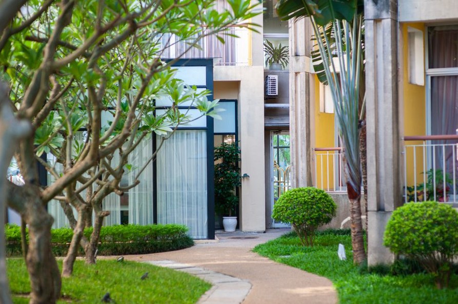 Mature trees beside a courtyard walking route